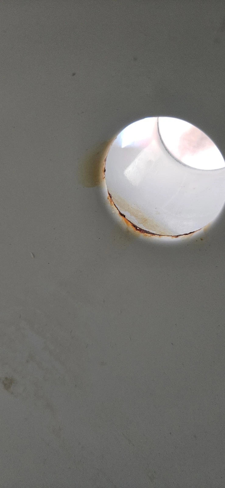 Vintage Ancona Enamel Whistling Tea Pot Kettle Blue Hummingbird Red Tulips LOOK | eBay