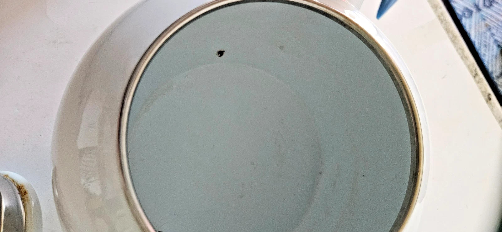 Vintage Ancona Enamel Whistling Tea Pot Kettle Blue Hummingbird Red Tulips LOOK | eBay