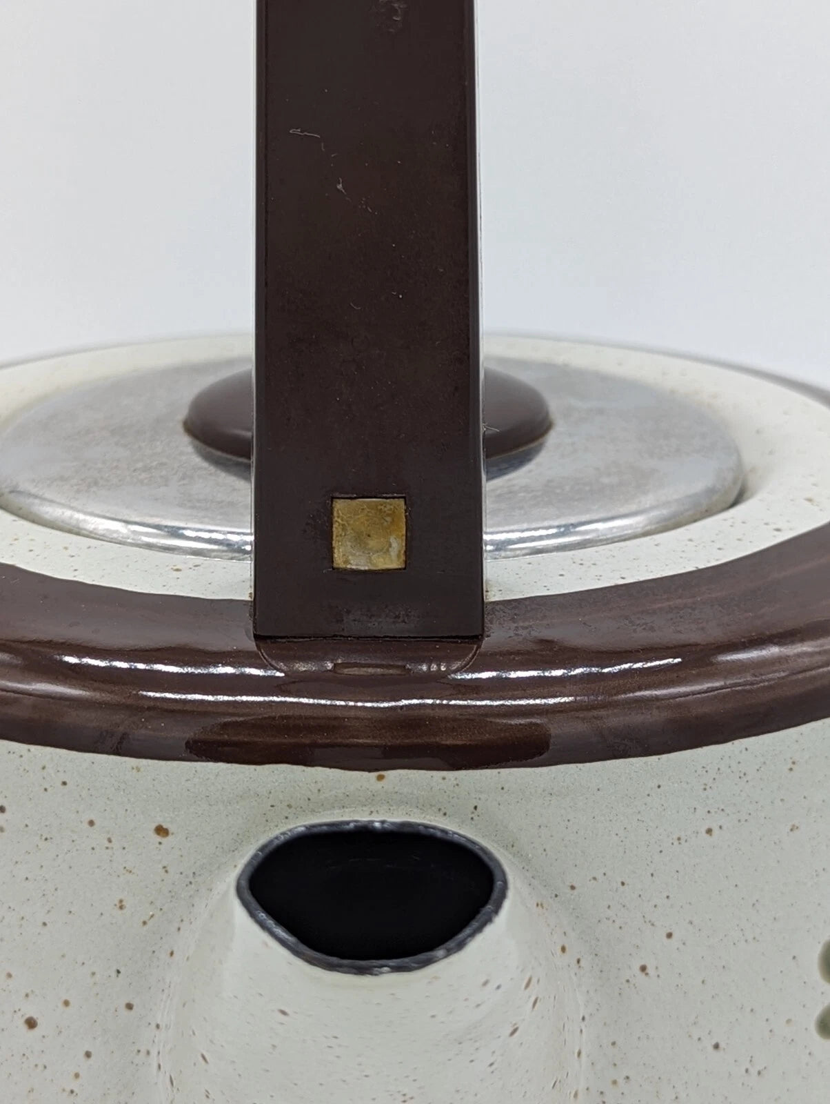 Vintage ASTA Hand Painted Flowers Enamel Kettle Teapot Flower Power Germany