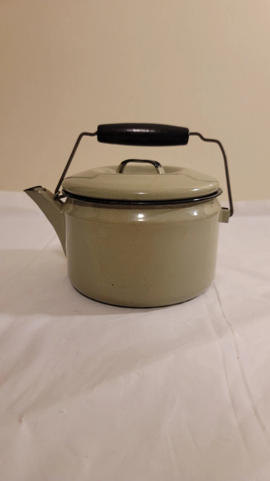 Vintage Enamel Ware Green Teapot Kettle