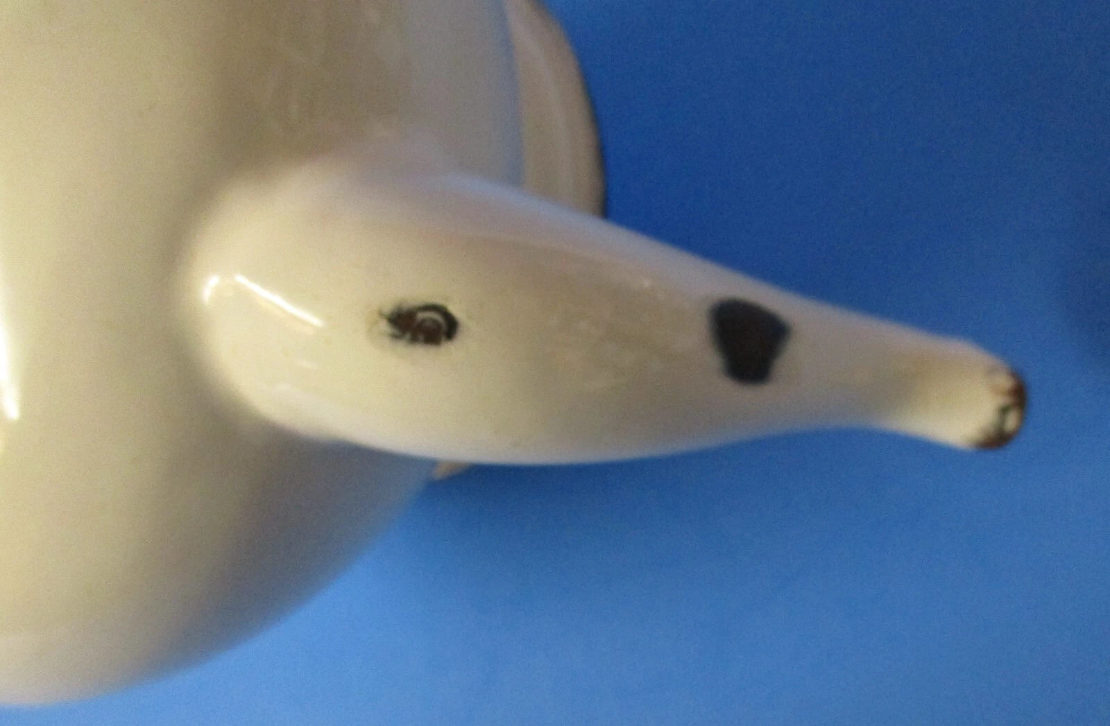 graniteware enamel ware Boston style teapot white w/ dark blue USED vintage rj