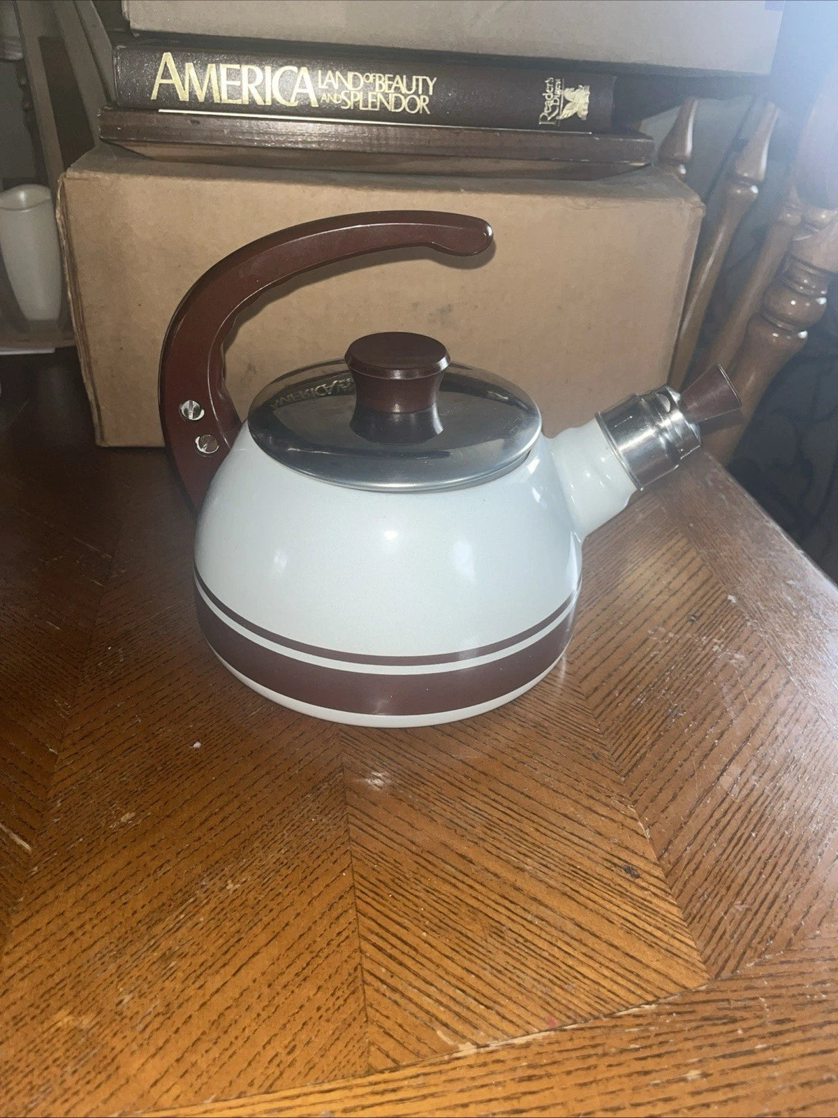 Vintage 1970s Enamel Teapot