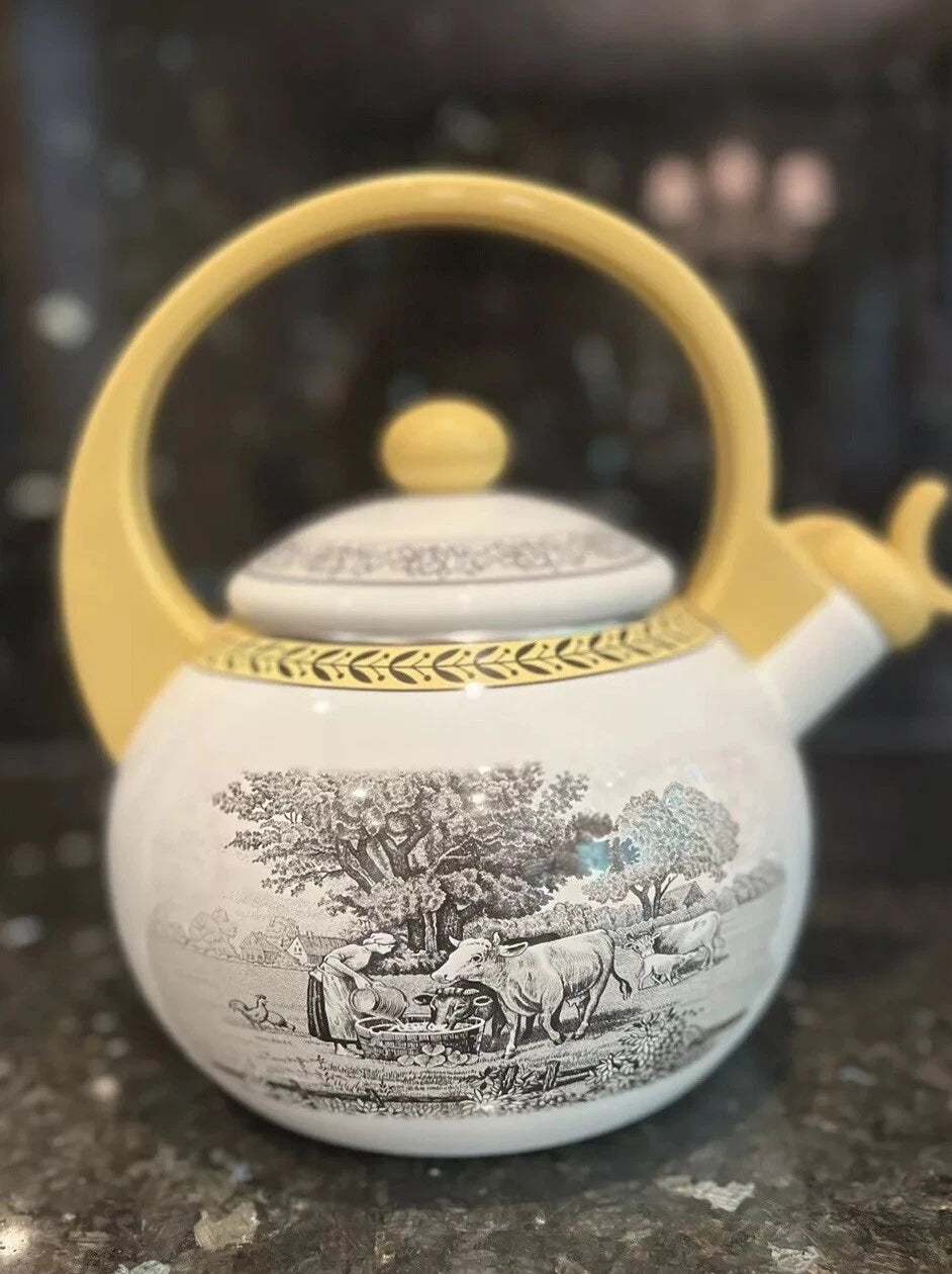 Vintage Villeroy & Boch Metal Enamel Tea Kettle 6Cup Farm Design RARE usedno box