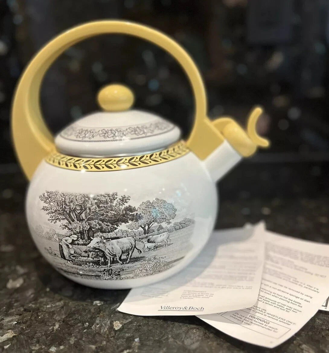 Vintage Villeroy & Boch Metal Enamel Tea Kettle 6Cup Farm Design RARE usedno box