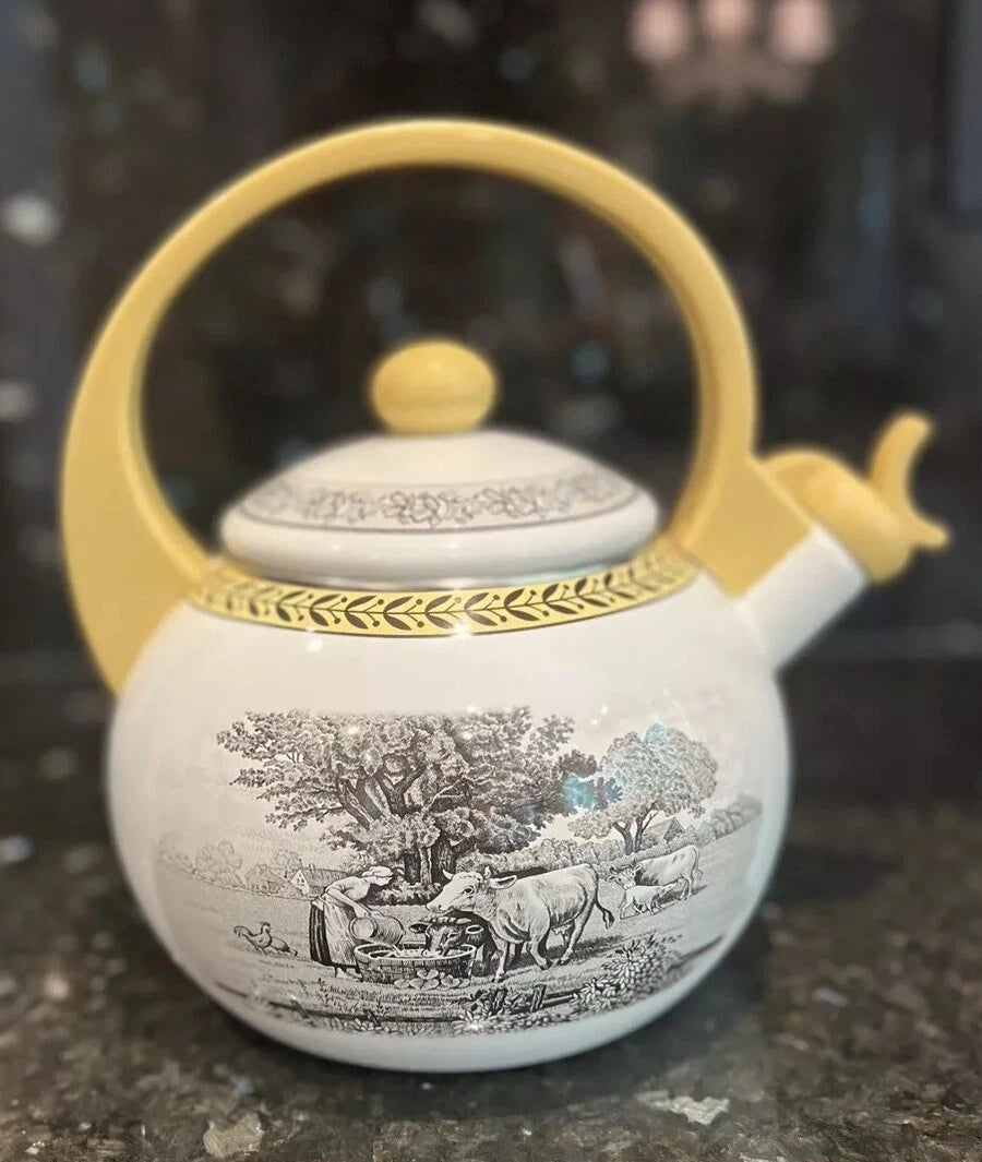 Vintage Villeroy & Boch Metal Enamel Tea Kettle 6Cup Farm Design RARE usedno box