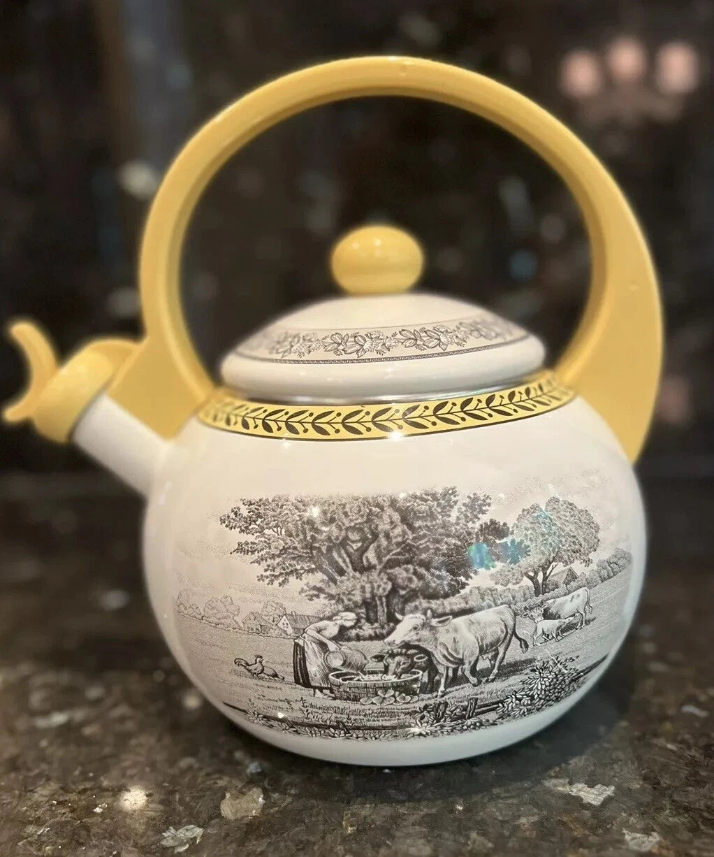 Vintage Villeroy & Boch Metal Enamel Tea Kettle 6Cup Farm Design RARE usedno box