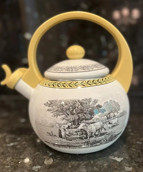 Vintage Villeroy & Boch Metal Enamel Tea Kettle 6Cup Farm Design RARE usedno box
