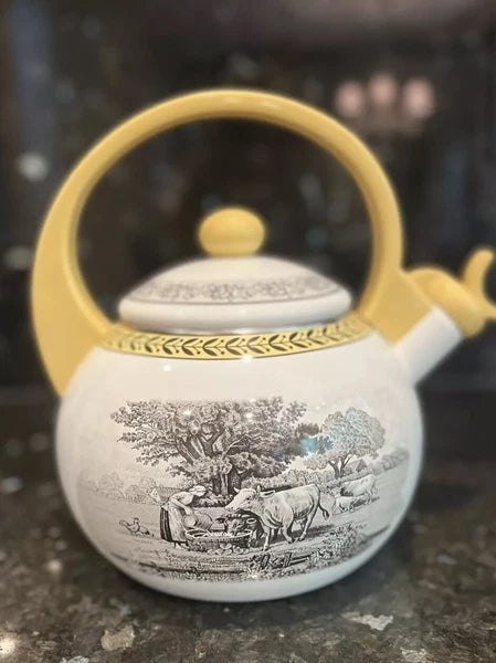 Vintage Villeroy & Boch Metal Enamel Tea Kettle 6Cup Farm Design RARE usedno box