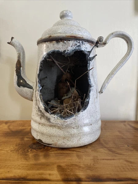Decorative Enamelware Teapot Handmade Bird House